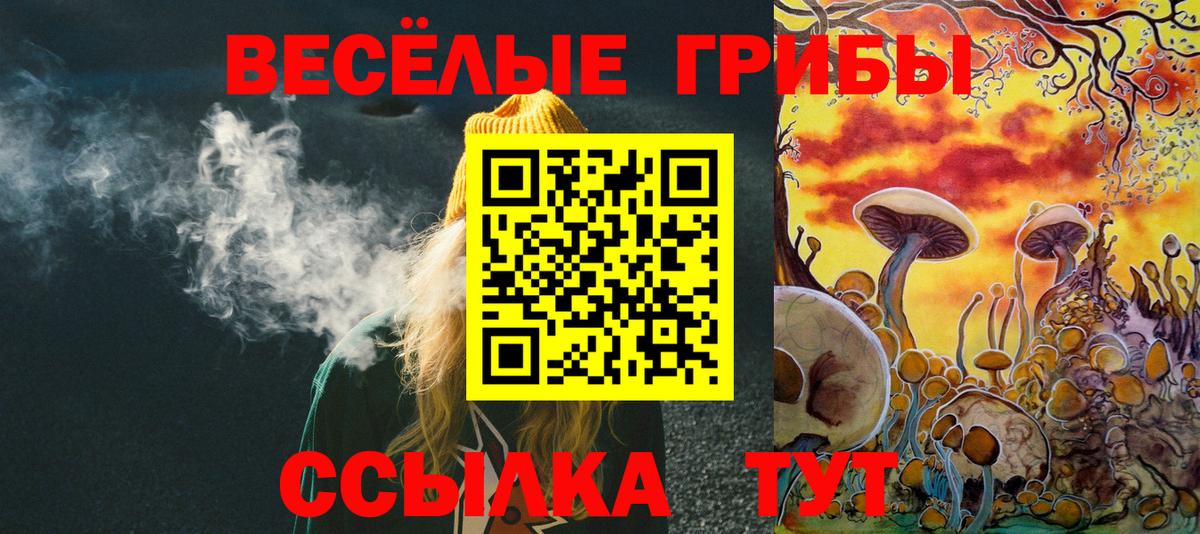 Псилоцибиновые грибы Psilocybine cubensis Краснодар