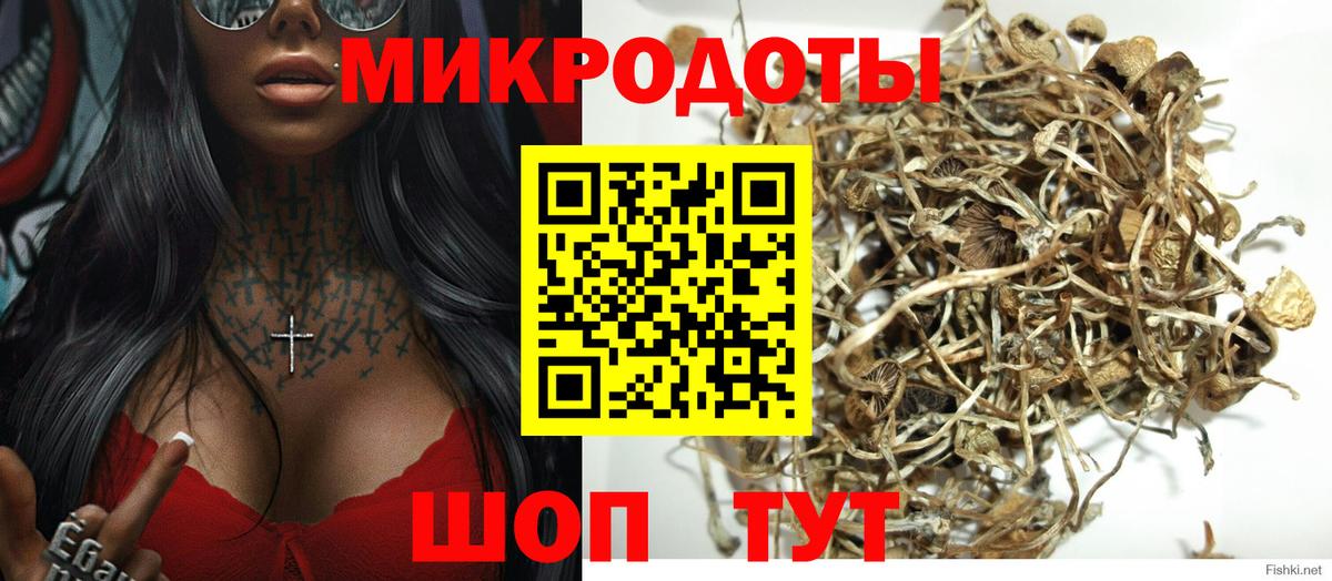 Краснодар  Галлюциногенные грибы Psilocybe  сколько стоит  Вход с VPN 
